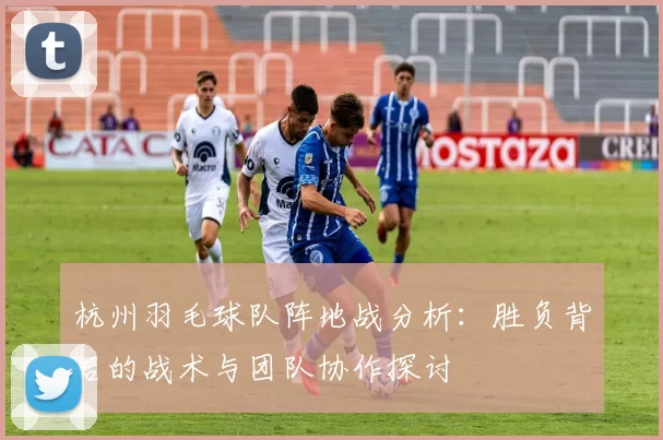 杭州羽毛球队阵地战分析：胜负背后的战术与团队协作探讨