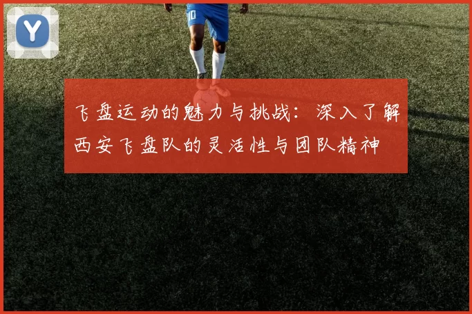 飞盘运动的魅力与挑战：深入了解西安飞盘队的灵活性与团队精神