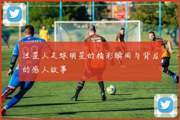 汪星人足球明星的精彩瞬间与背后的感人故事