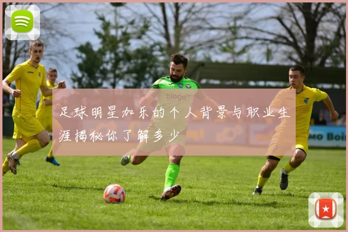足球明星加乐的个人背景与职业生涯揭秘你了解多少