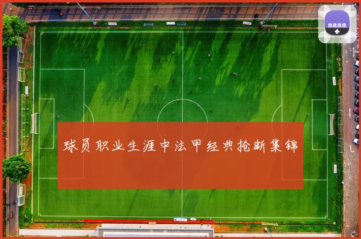 球员职业生涯中法甲经典抢断集锦