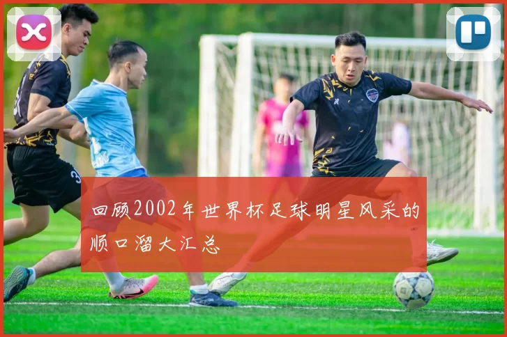 回顾2002年世界杯足球明星风采的顺口溜大汇总
