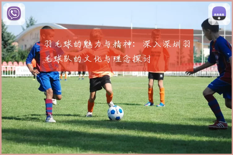 羽毛球的魅力与精神：深入深圳羽毛球队的文化与理念探讨