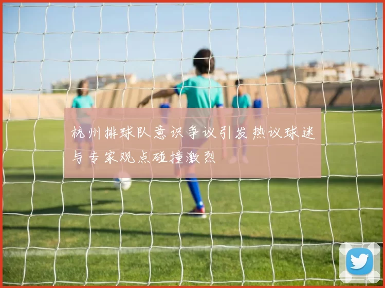 杭州排球队意识争议引发热议球迷与专家观点碰撞激烈