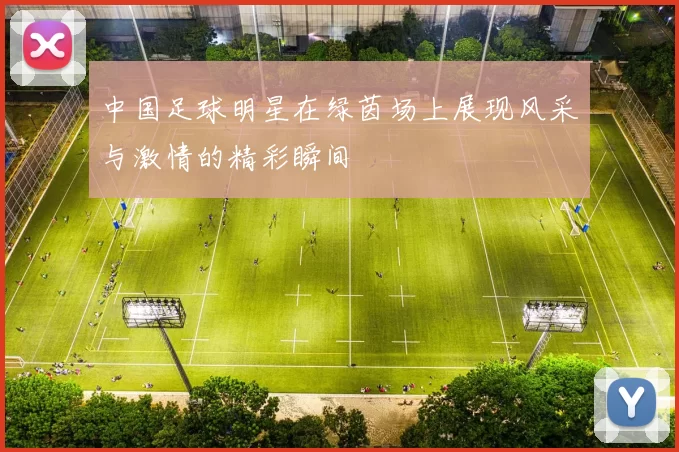 中国足球明星在绿茵场上展现风采与激情的精彩瞬间