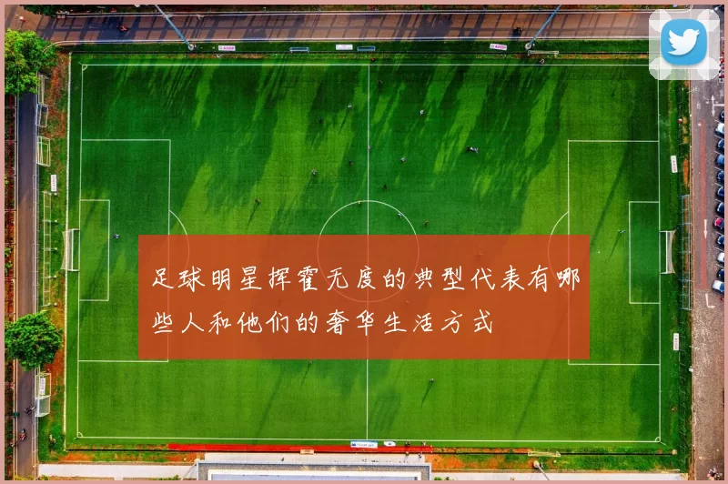 足球明星挥霍无度的典型代表有哪些人和他们的奢华生活方式