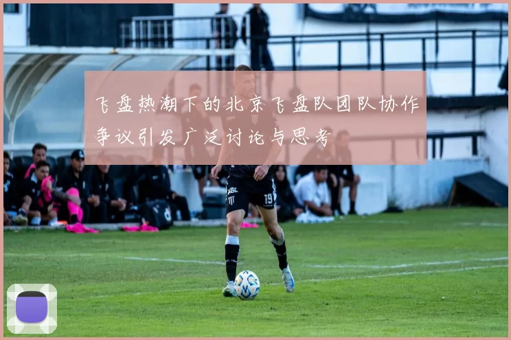 飞盘热潮下的北京飞盘队团队协作争议引发广泛讨论与思考
