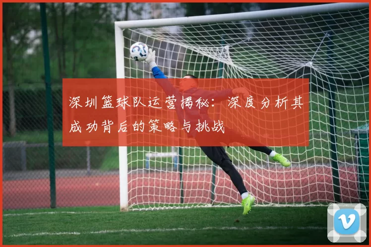 深圳篮球队运营揭秘：深度分析其成功背后的策略与挑战