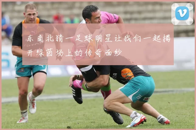 东南北猜一足球明星让我们一起揭开绿茵场上的传奇面纱