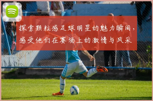 探索颗粒感足球明星的魅力瞬间，感受他们在赛场上的激情与风采