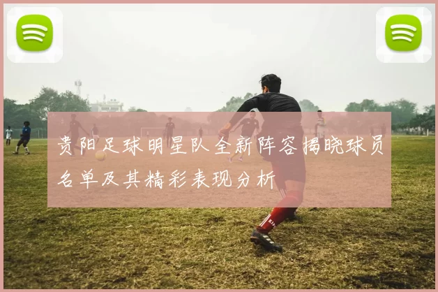 贵阳足球明星队全新阵容揭晓球员名单及其精彩表现分析