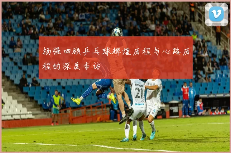 杨强回顾乒乓球辉煌历程与心路历程的深度专访