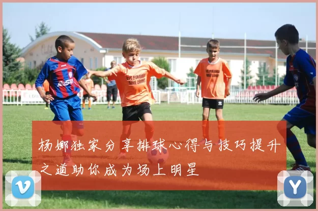 杨娜独家分享排球心得与技巧提升之道助你成为场上明星