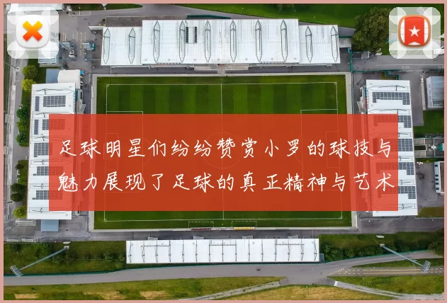 足球明星们纷纷赞赏小罗的球技与魅力展现了足球的真正精神与艺术之美