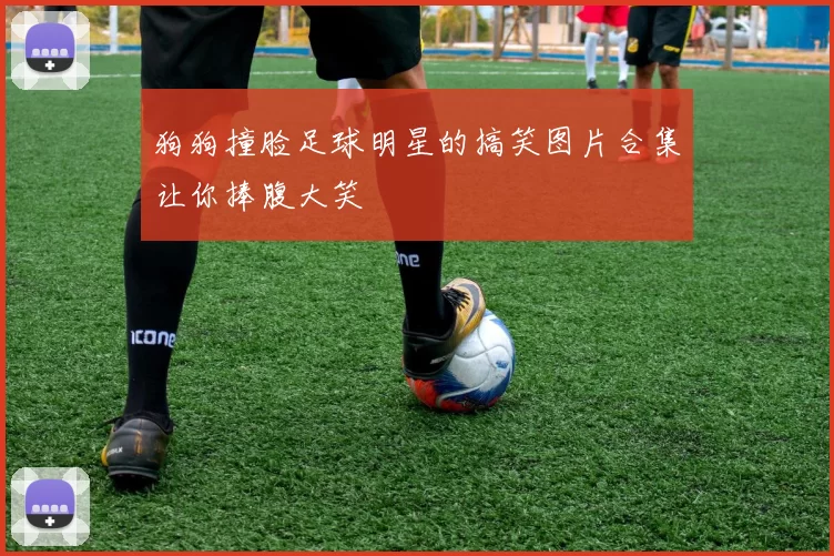 狗狗撞脸足球明星的搞笑图片合集让你捧腹大笑