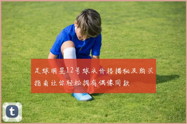 足球明星12号球衣价格揭秘及购买指南让你轻松拥有偶像同款