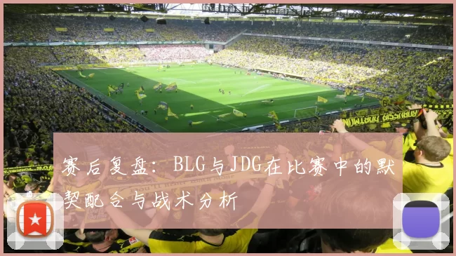 赛后复盘：BLG与JDG在比赛中的默契配合与战术分析