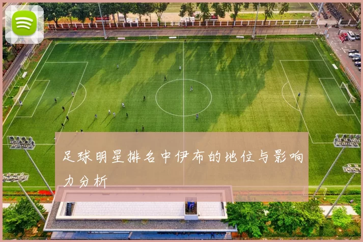 足球明星排名中伊布的地位与影响力分析