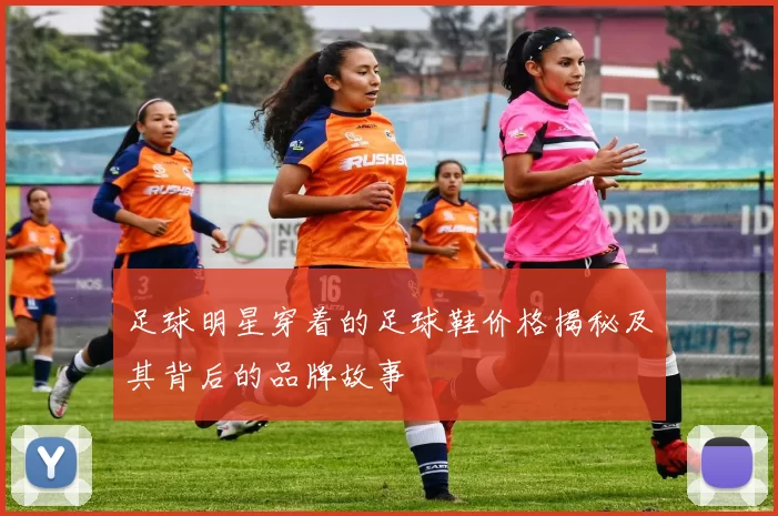 足球明星穿着的足球鞋价格揭秘及其背后的品牌故事