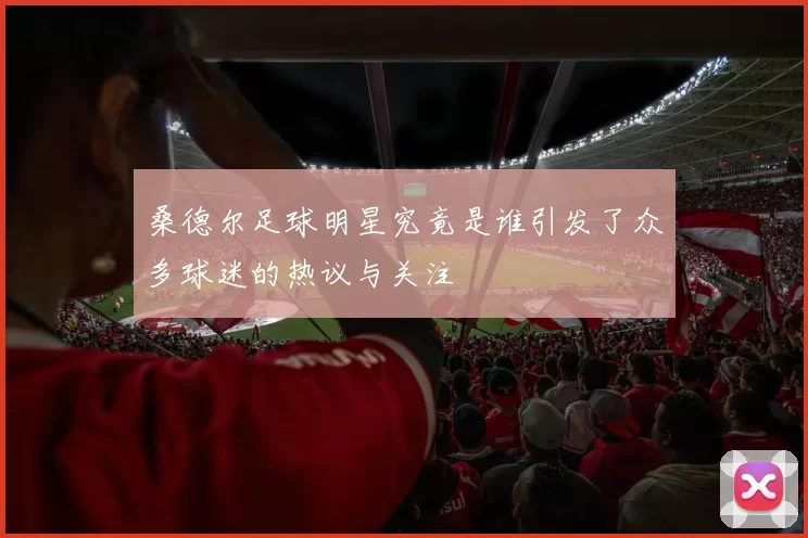 桑德尔足球明星究竟是谁引发了众多球迷的热议与关注