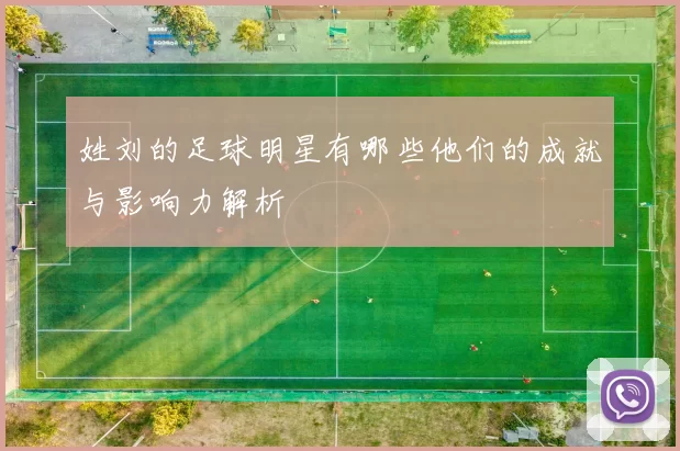 姓刘的足球明星有哪些他们的成就与影响力解析