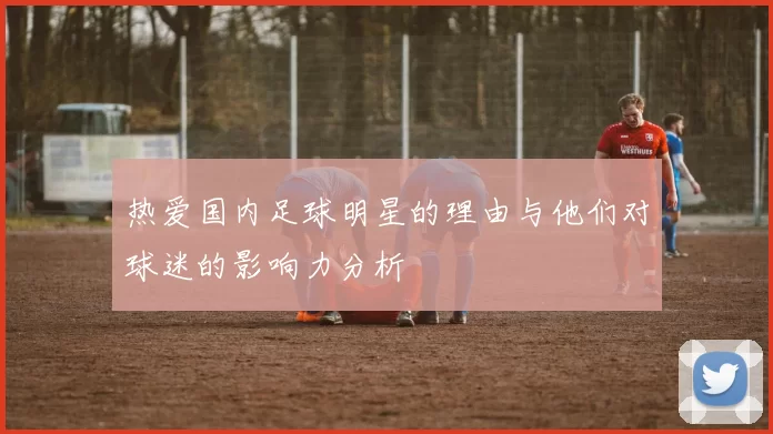 热爱国内足球明星的理由与他们对球迷的影响力分析