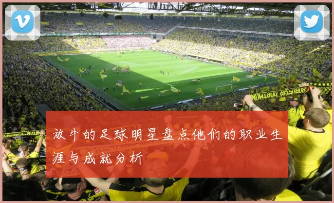 放牛的足球明星盘点他们的职业生涯与成就分析