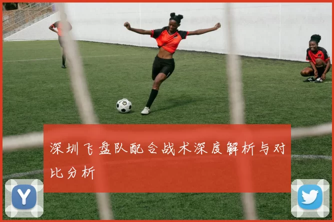 深圳飞盘队配合战术深度解析与对比分析