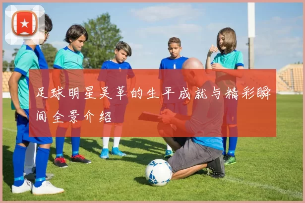 足球明星吴革的生平成就与精彩瞬间全景介绍