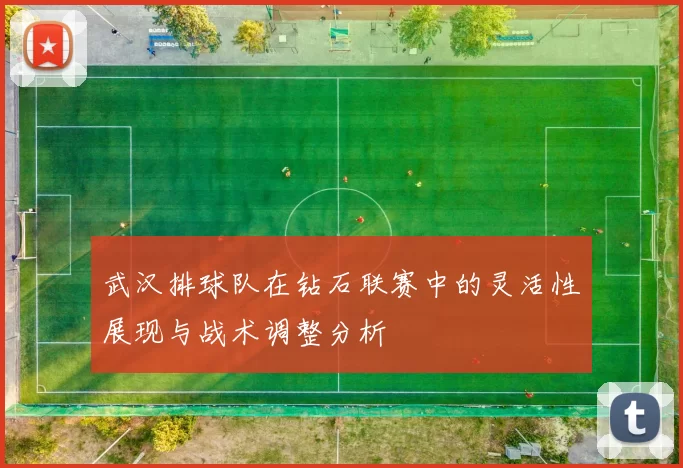 武汉排球队在钻石联赛中的灵活性展现与战术调整分析