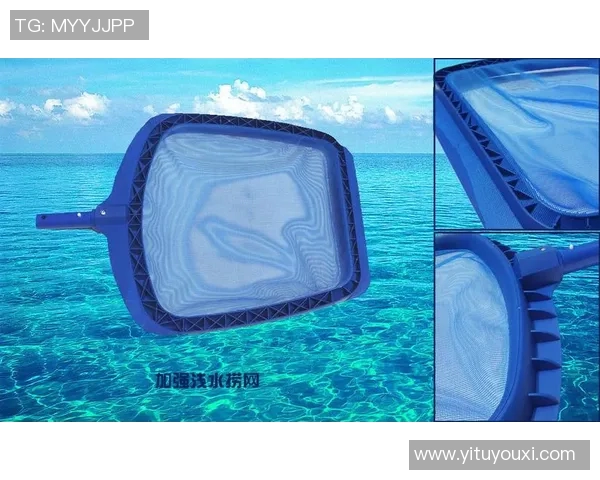 泳池用品大集合：必备泳池清洁设备、水质维护工具与休闲娱乐设备推荐
